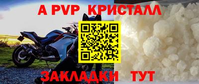 ГАЛЛЮЦИНОГЕННЫЕ ГРИБЫ Кингисепп