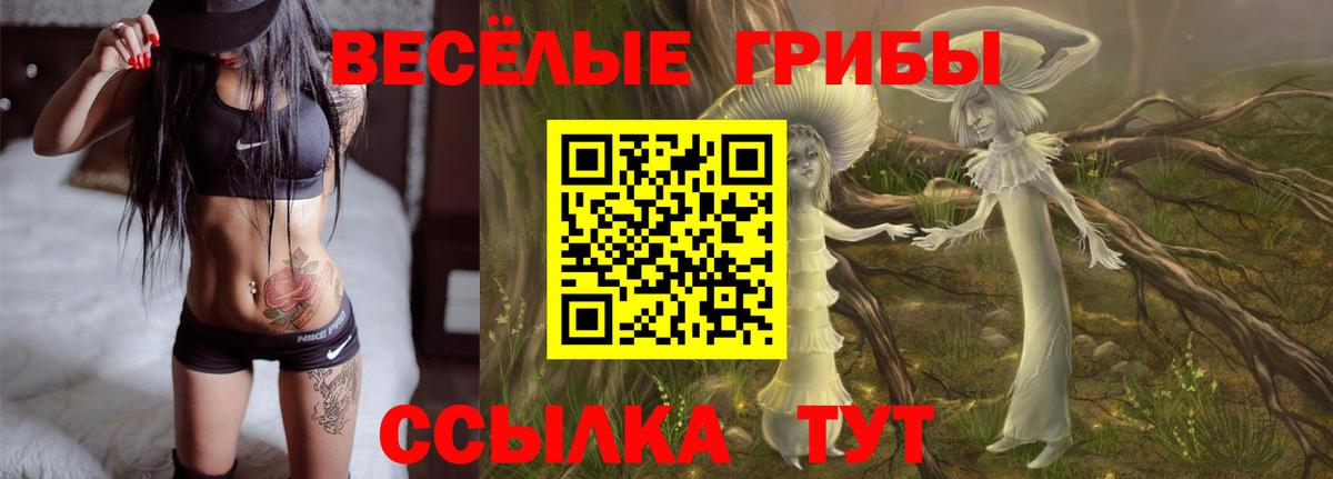 Магадан  Галлюциногенные грибы Cubensis  Псилоцибиновые грибы Psilocybine cubensis  Вход с VPN 